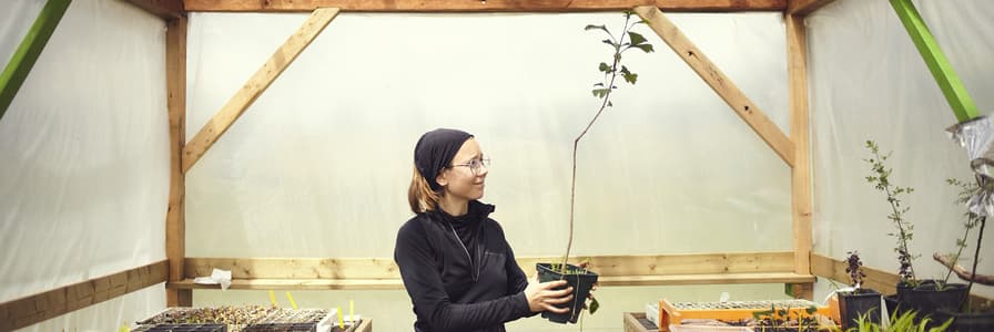 Volunteer open call