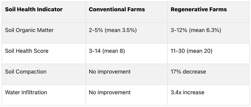 Regenerative Agriculture vs Conventional Farming: Key Differences