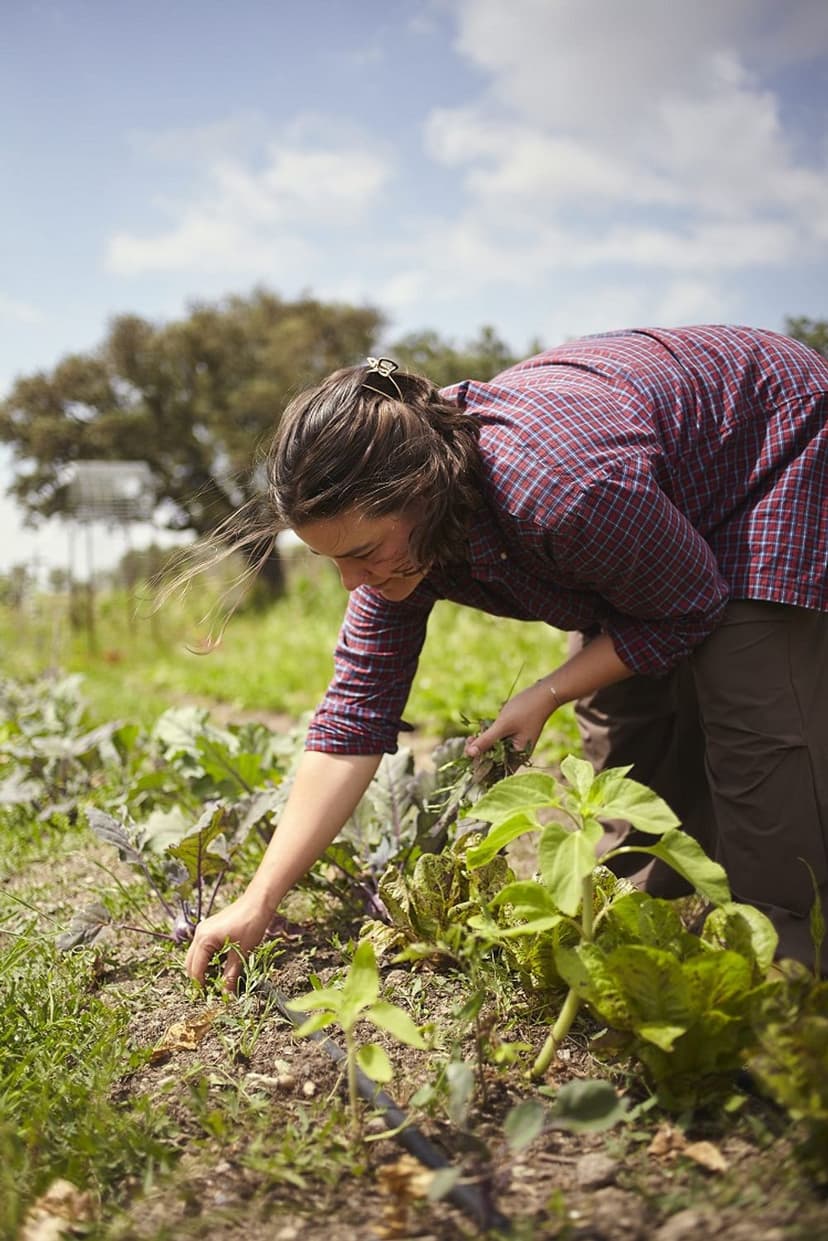Permaculture Practices for Daily Life in Community