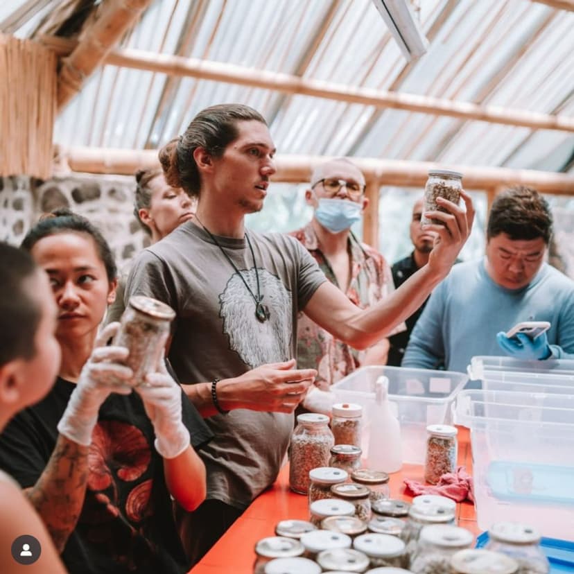 Mushroom Classes: Mycelial Mastery Course at TDF