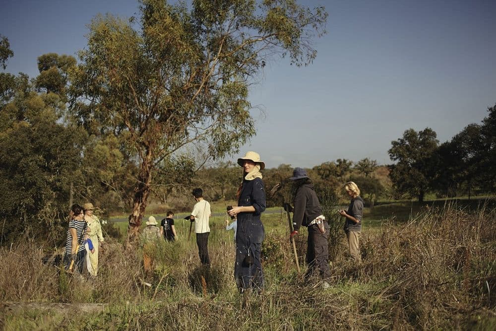 10 Burning Man Principles