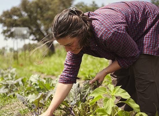 Permaculture Practices for Daily Life in Community