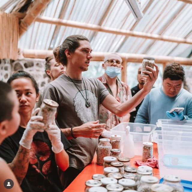 Mushroom Classes: Mycelial Mastery Course at TDF